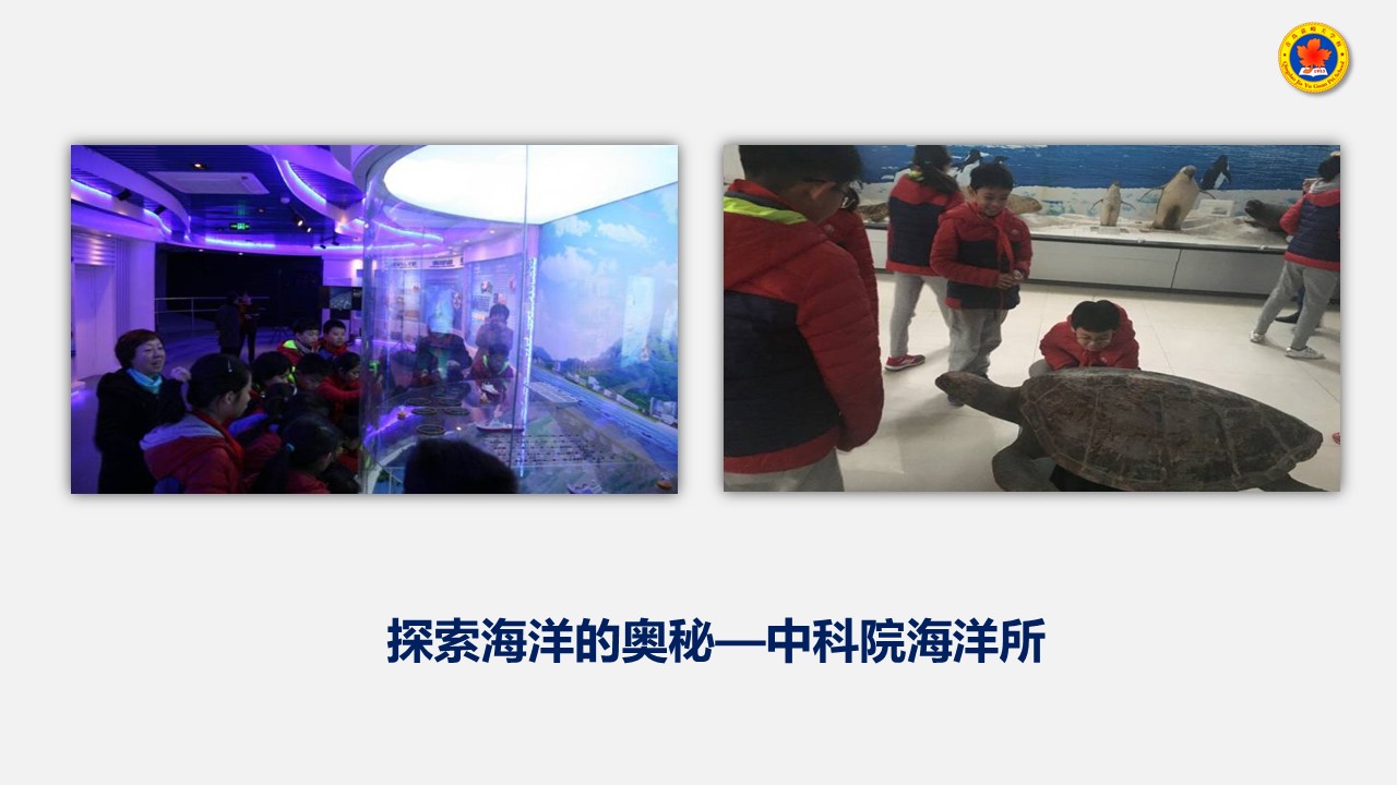 幻灯片20.JPG